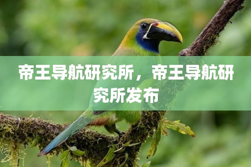 帝王导航研究所，帝王导航研究所发布