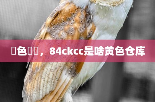 黃色倉庫，84ckcc是啥黄色仓库
