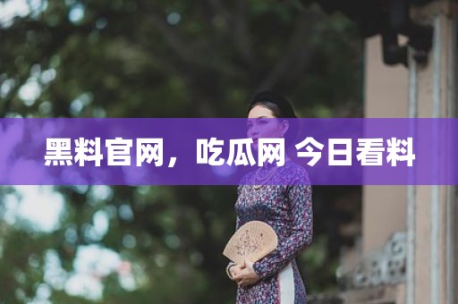 黑料官网，吃瓜网 今日看料