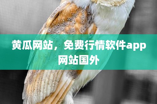 黄瓜网站，免费行情软件app网站国外