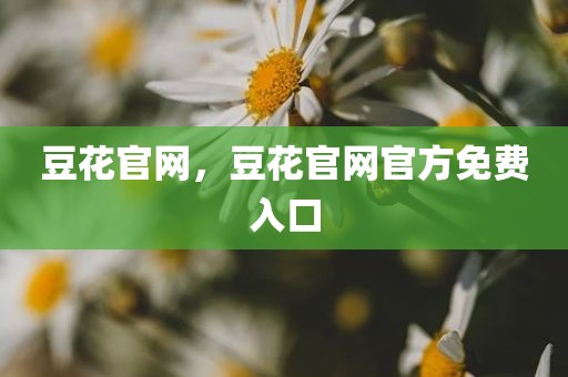 豆花官网，豆花官网官方免费入口