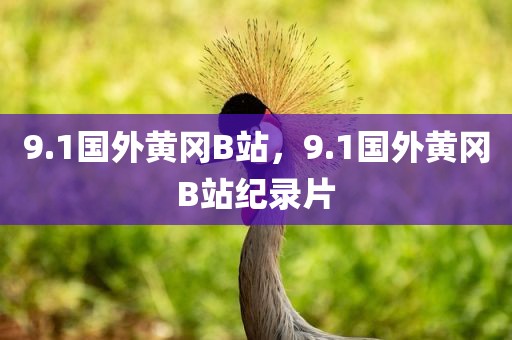 9.1国外黄冈B站，9.1国外黄冈B站纪录片