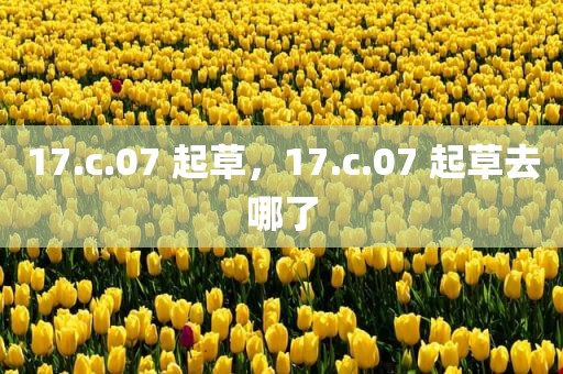 17.c.07 起草，17.c.07 起草去哪了