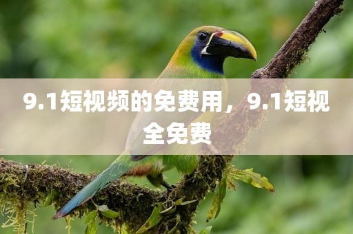 9.1短视频的免费用，9.1短视全免费