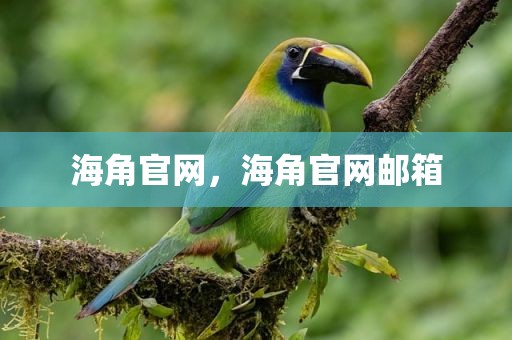 海角官网，海角官网邮箱