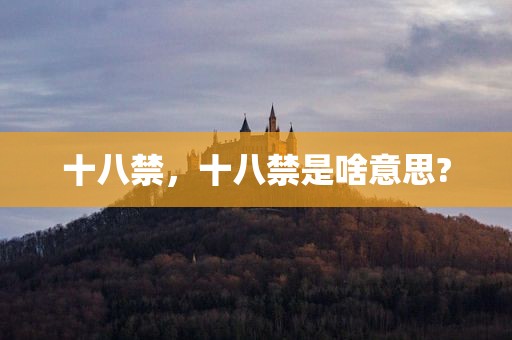 十八禁，十八禁是啥意思?