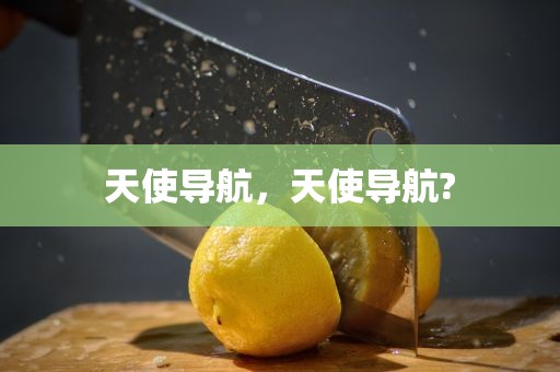 天使导航，天使导航?