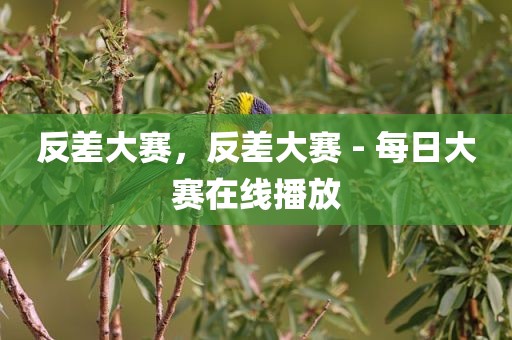 反差大赛，反差大赛 - 每日大赛在线播放