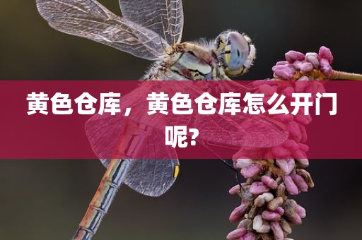 黄色仓库，黄色仓库怎么开门呢?