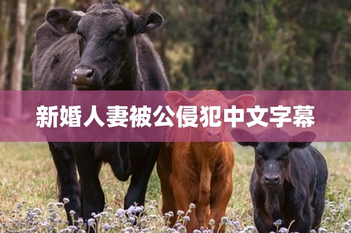 新婚人妻被公侵犯中文字幕