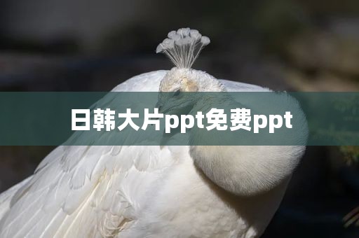 日韩大片ppt免费ppt
