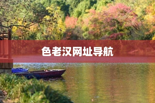 色老汉网址导航