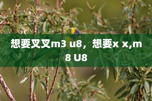 想要叉叉m3 u8，想要x x,m8 U8