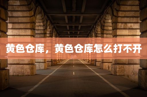 黄色仓库，黄色仓库怎么打不开