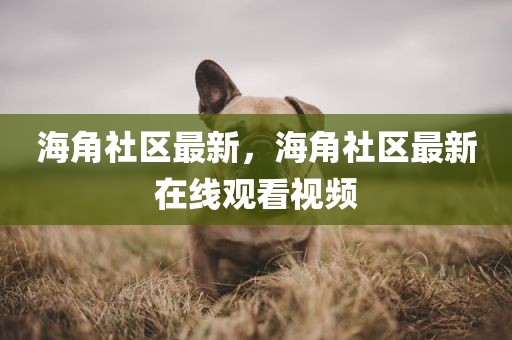 海角社区最新，海角社区最新在线观看视频