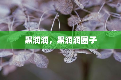 黑润润，黑润润圈子