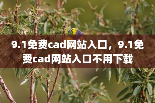 9.1免费cad网站入口，9.1免费cad网站入口不用下载