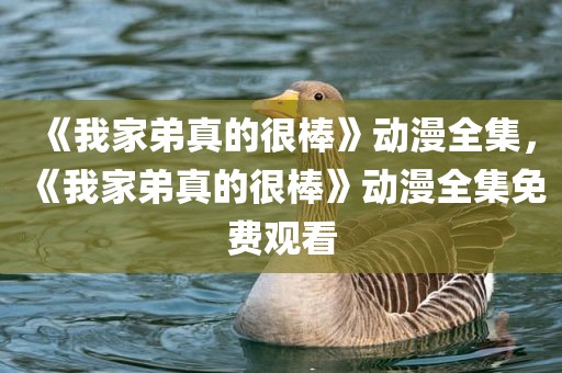 《我家弟真的很棒》动漫全集，《我家弟真的很棒》动漫全集免费观看
