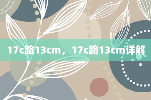 17c路13cm，17c路13cm详解
