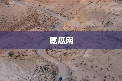 吃瓜网