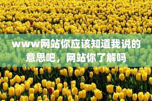 www网站你应该知道我说的意思吧，网站你了解吗