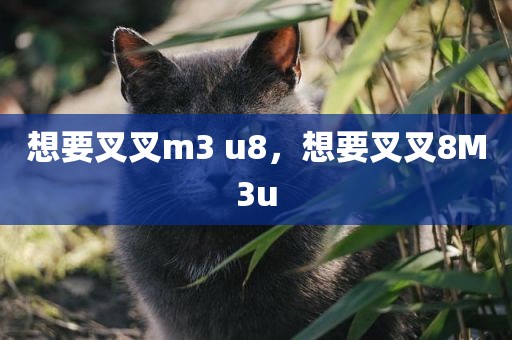 想要叉叉m3 u8，想要叉叉8M3u