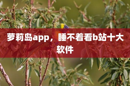 萝莉岛app，睡不着看b站十大软件