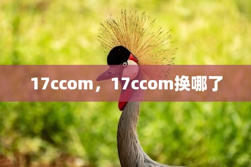 17ccom，17ccom换哪了