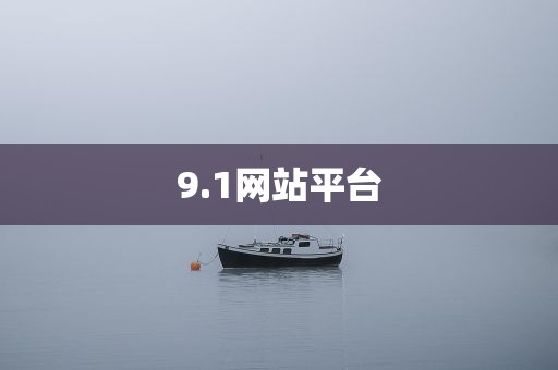 9.1网站平台