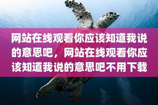 网站在线观看你应该知道我说的意思吧，网站在线观看你应该知道我说的意思吧不用下载