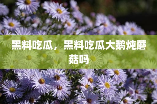 黑料吃瓜，黑料吃瓜大鹅炖蘑菇吗