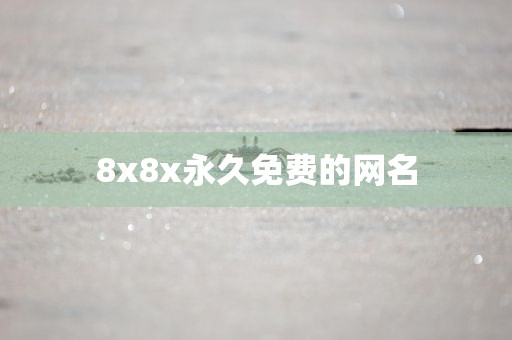 8x8x永久免费的网名