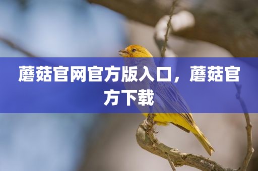 蘑菇官网官方版入口，蘑菇官方下载