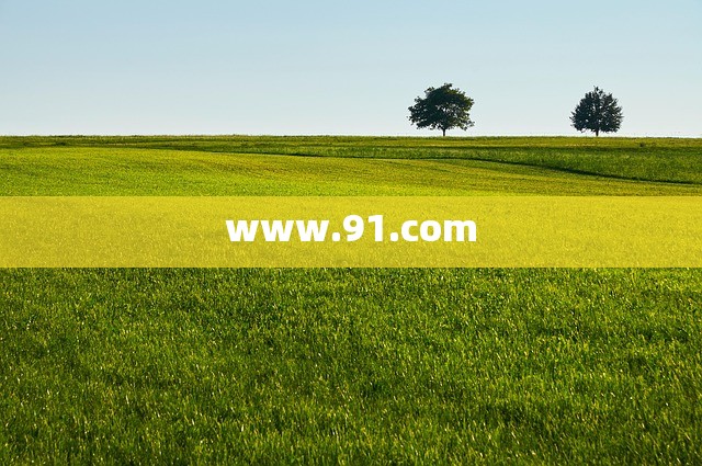 www.91.com