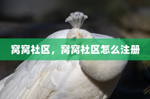 窝窝社区，窝窝社区怎么注册