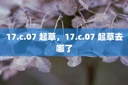 17.c.07 起草，17.c.07 起草去哪了