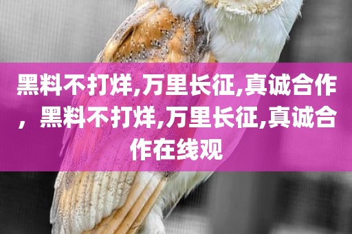 黑料不打烊,万里长征,真诚合作，黑料不打烊,万里长征,真诚合作在线观