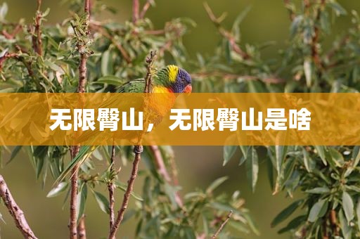无限臀山，无限臀山是啥