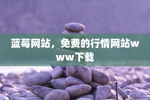 蓝莓网站，免费的行情网站www下载