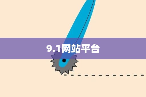 9.1网站平台