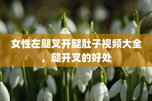 女性左腿叉开腿肚子视频大全，腿开叉的好处