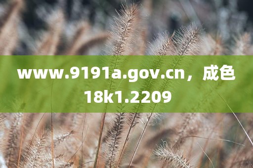 www.9191a.gov.cn，成色18k1.2209