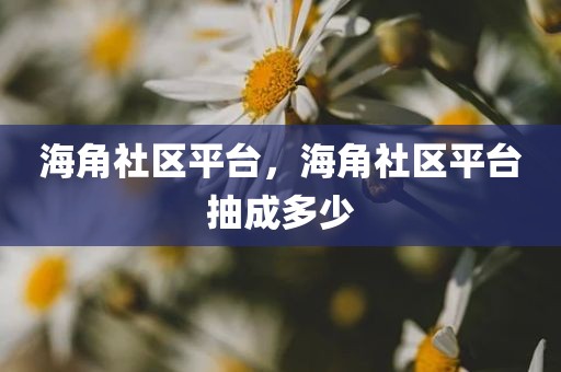 海角社区平台，海角社区平台抽成多少
