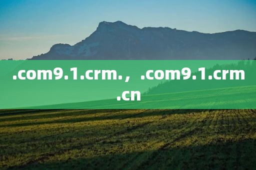 .com9.1.crm.，.com9.1.crm.cn