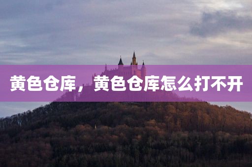 黄色仓库，黄色仓库怎么打不开