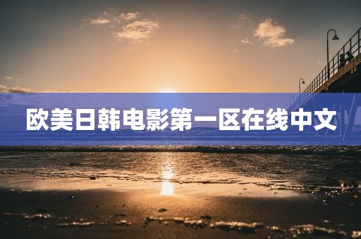 欧美日韩电影第一区在线中文