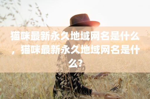 猫咪最新永久地域网名是什么，猫咪最新永久地域网名是什么?