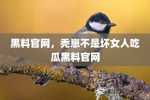 黑料官网，秃崽不是坏女人吃瓜黑料官网