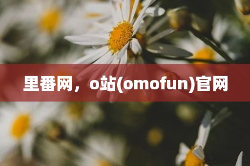 里番网，o站(omofun)官网