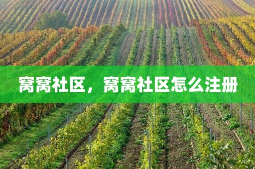 窝窝社区，窝窝社区怎么注册